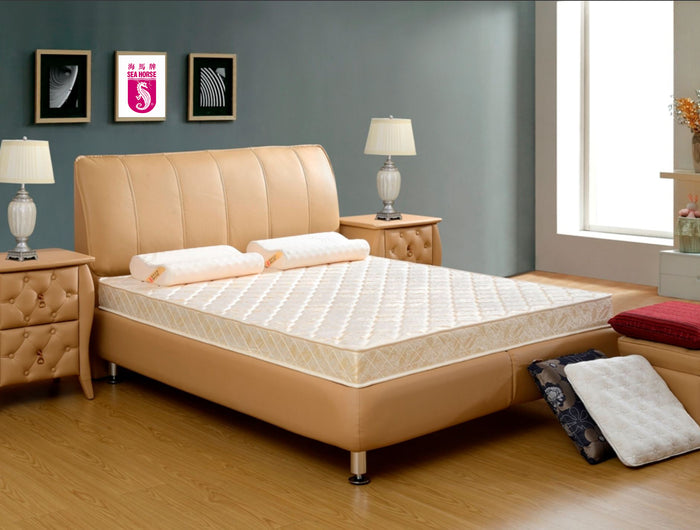 <em>Dream in Comfort</em>