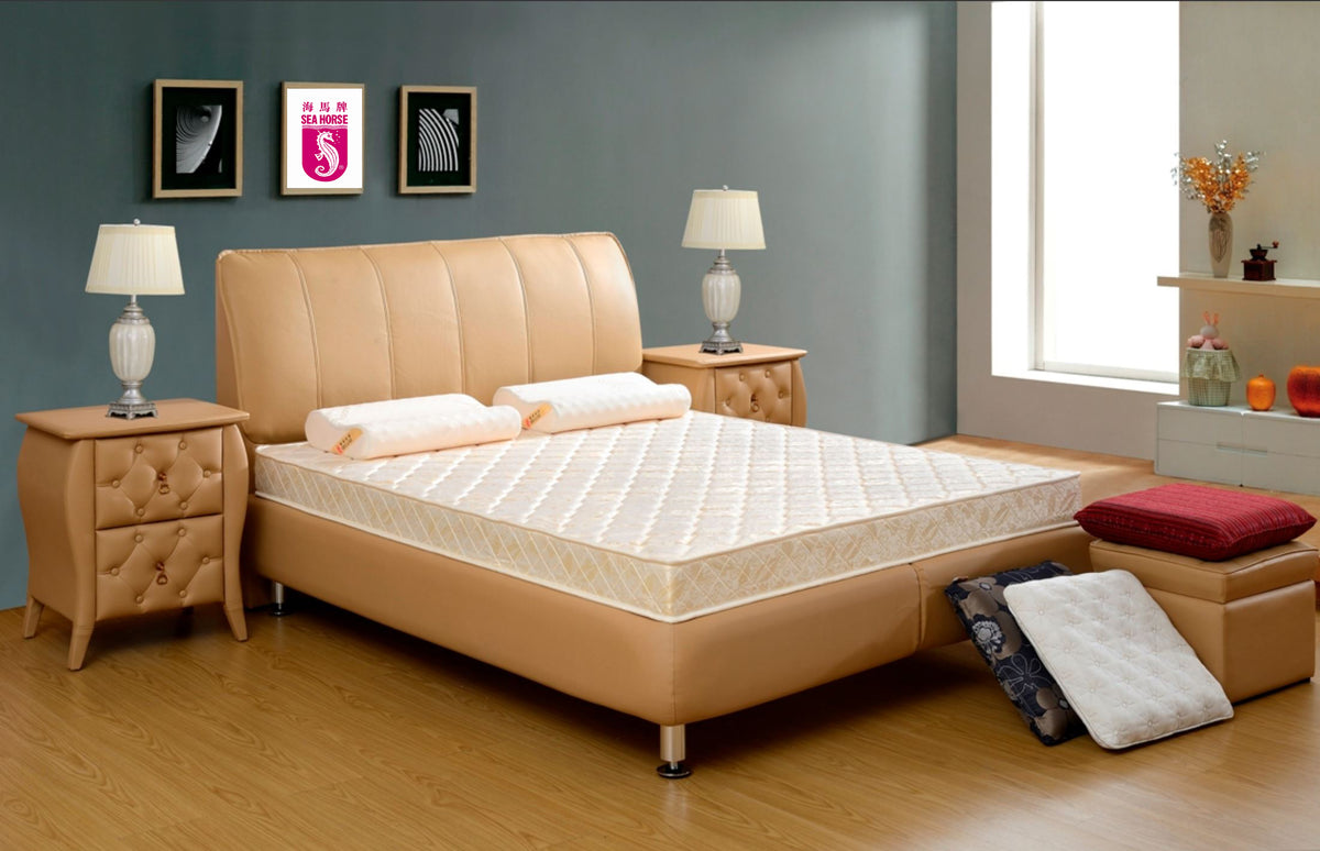 <em>Dream in Comfort</em>